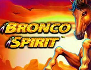 Bronco Spirit