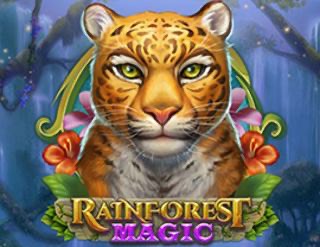 Rainforest Magic Bingo Game