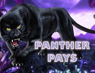 Panther Pays