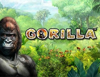 Gorilla