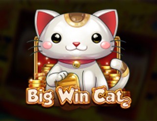 Big Win Cat