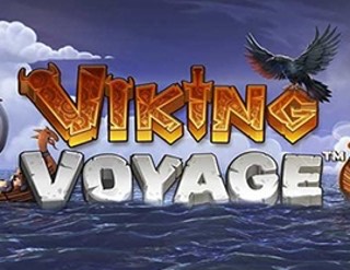 Viking Voyage