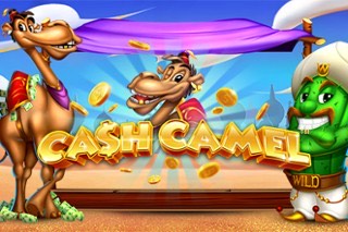 Cash Camel