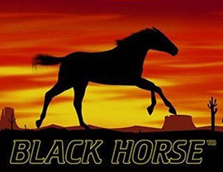 Black Horse