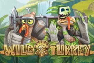 Wild Turkey Slots