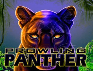 Prowling Panther