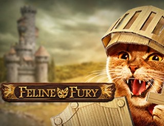 Feline Fury