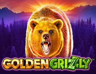 Golden Grizzly
