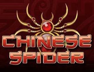 Chinese Spider