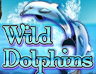 Wild Dolphins